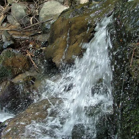 Gasthuis аня рома Lazeshchyna