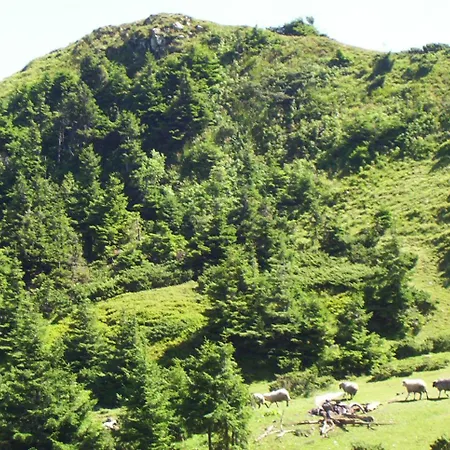 аня рома Lazeshchyna