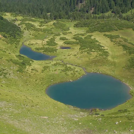 Gasthuis аня рома *