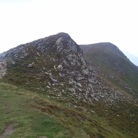 аня рома Gasthuis