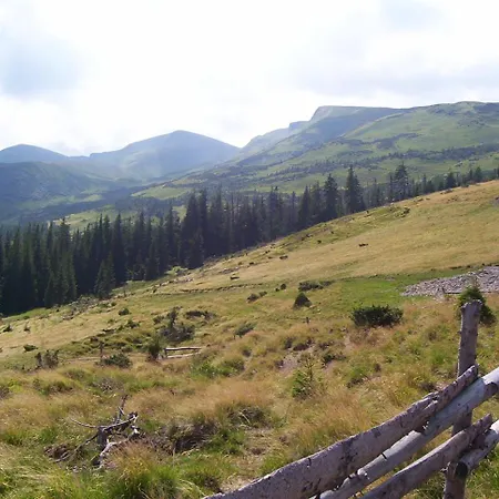 аня рома Gasthuis