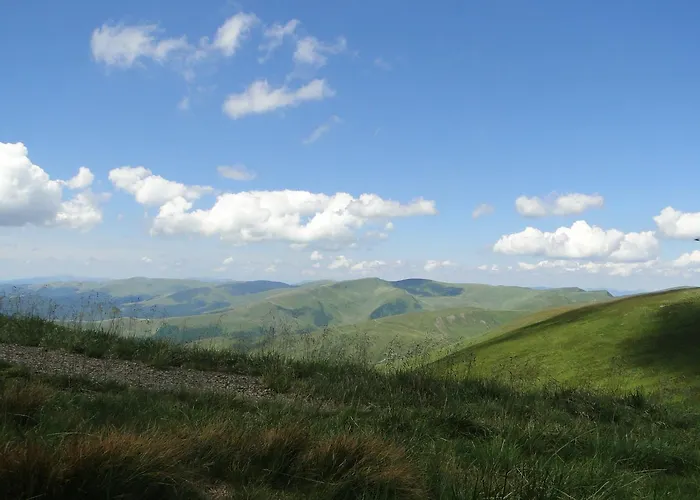 Konukevi аня рома