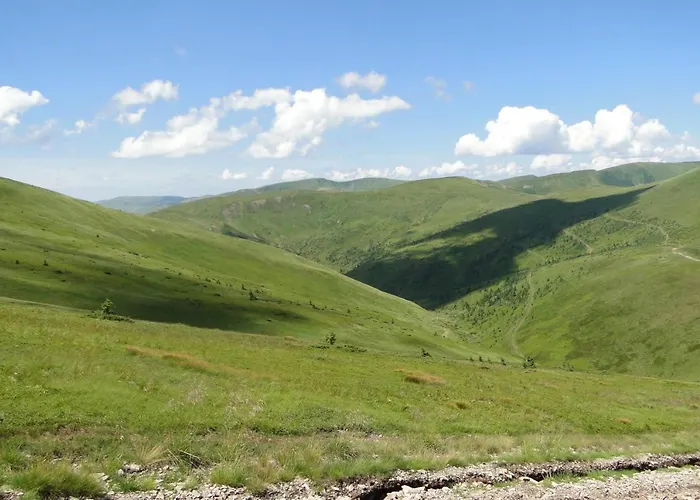 аня рома