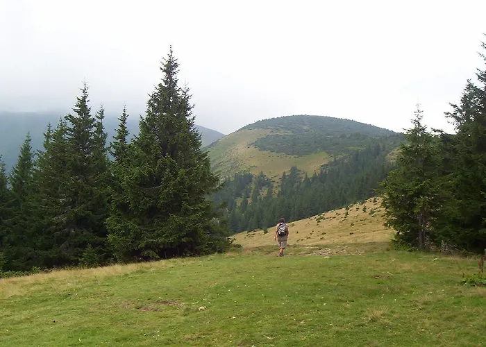 аня рома Konukevi *