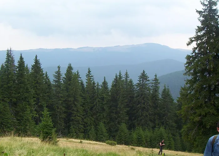 аня рома Konukevi *