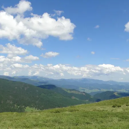 аня рома Konukevi