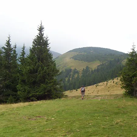 аня рома Konukevi *