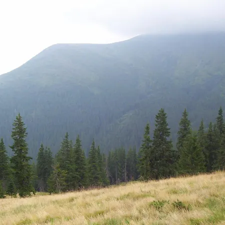 аня рома Lazeshchyna