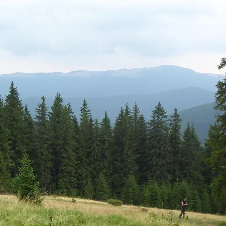 аня рома Konukevi *