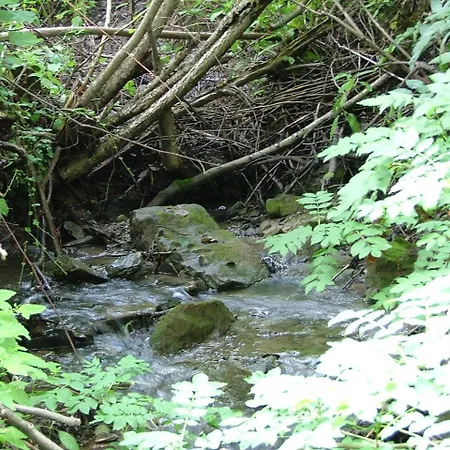 аня рома Konukevi