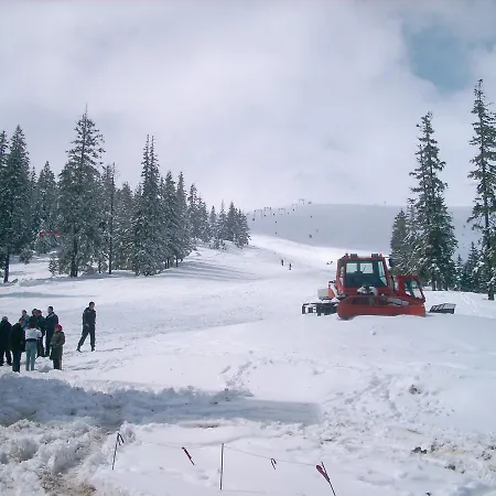 аня рома Konukevi Lazeshchyna