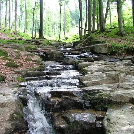 аня рома Konukevi