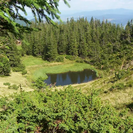 аня рома Konukevi *