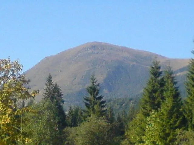 аня рома