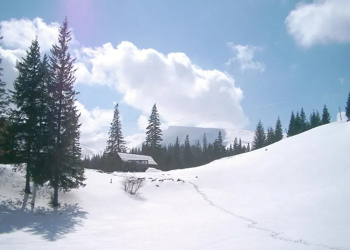 аня рома