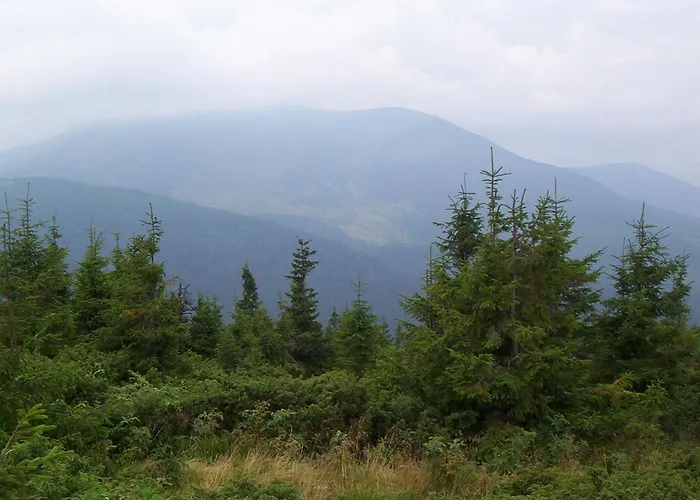 аня рома